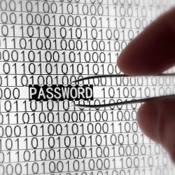 Open YOLO Google Password Featured