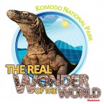 Logo-The-Real-Wonder-of-The-World
