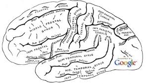 [Infografis] Otak Manusia dan Google di Era Modern