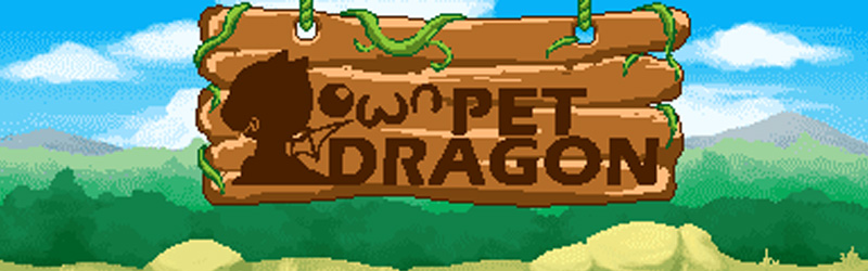 Own Pet Dragon