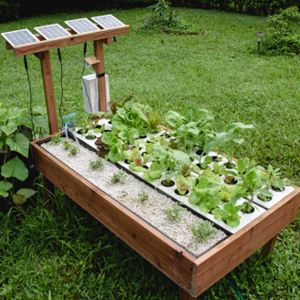 Growbot – Robot Taman Pintar Yang Dapat Membuat Tanaman Organik Tumbuh Segar